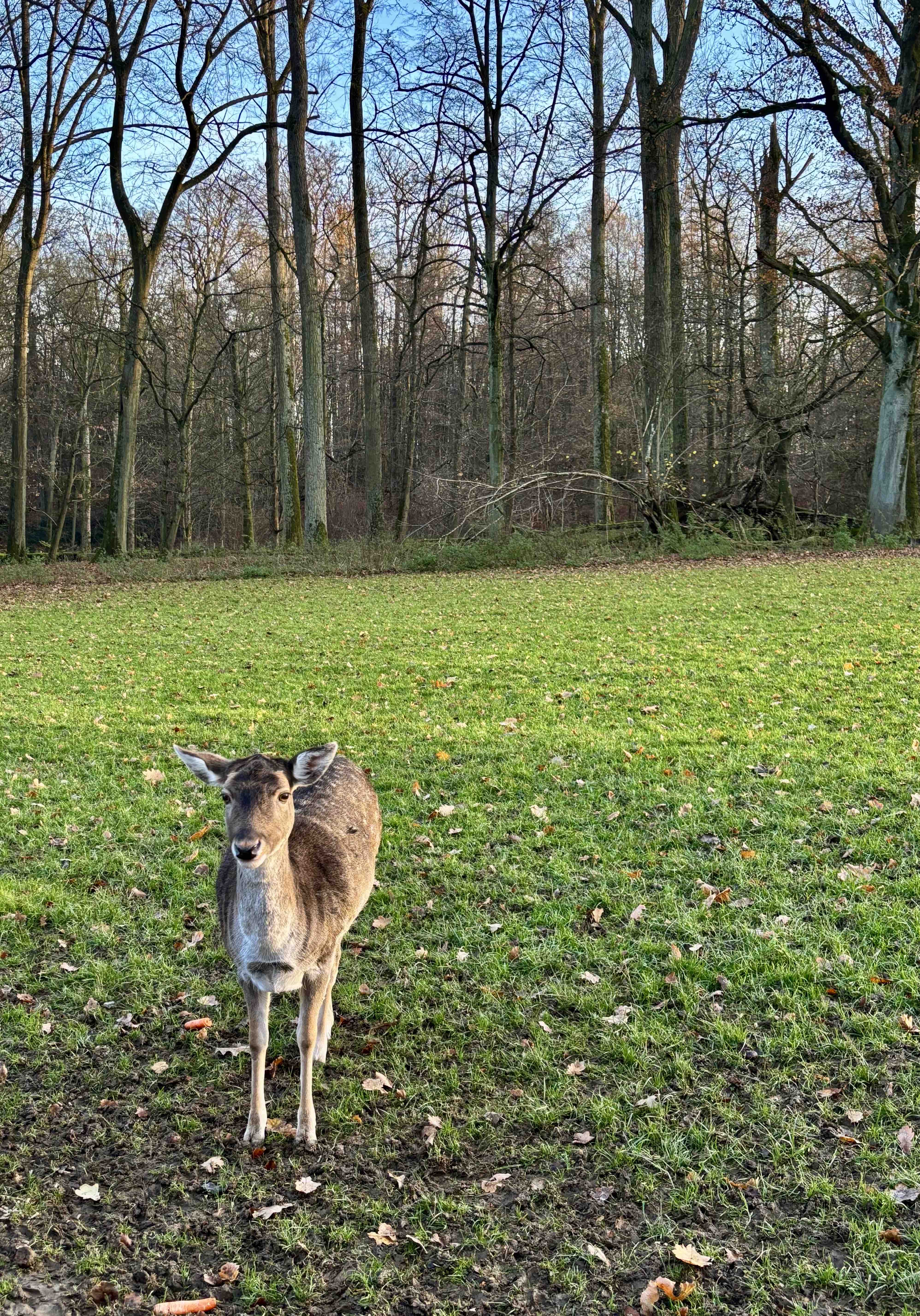 Düsseldorf, Germany
